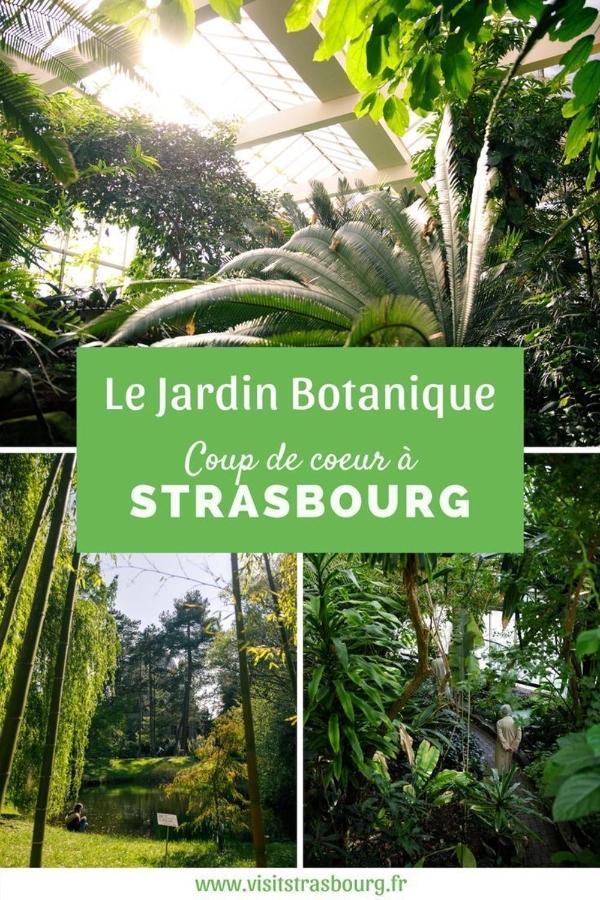 Appartement 6 Personnes Strasbourg Proche Centre Ville & Parking ภายนอก รูปภาพ